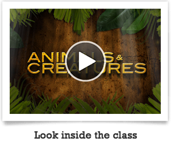 Look inside the Animals & Creatures Class