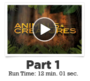 webinar-vid-img-ABC-01 webinar vid img ABC 01 Animate Believable Creatures