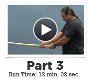 webinar-vid-img-Sumida-03 webinar vid img Sumida 03 Anatomy of a Fight with Dr. Stuart Sumida