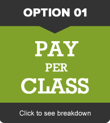 payment option 01 Tuition and Start Dates