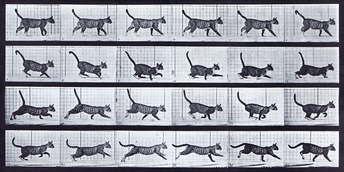 How to Animate Quadruped Walk Cycles with a Jurassic World Animator