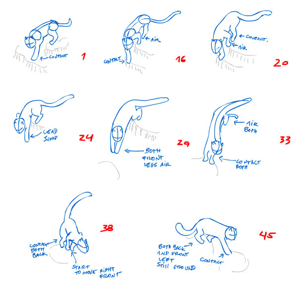 how to animate cat