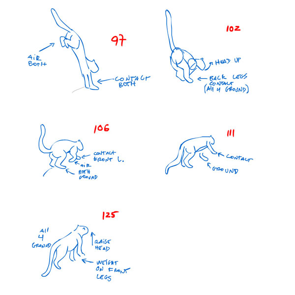 how to animate cat walk