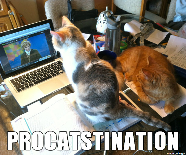Internet Distraction - animation procrastination