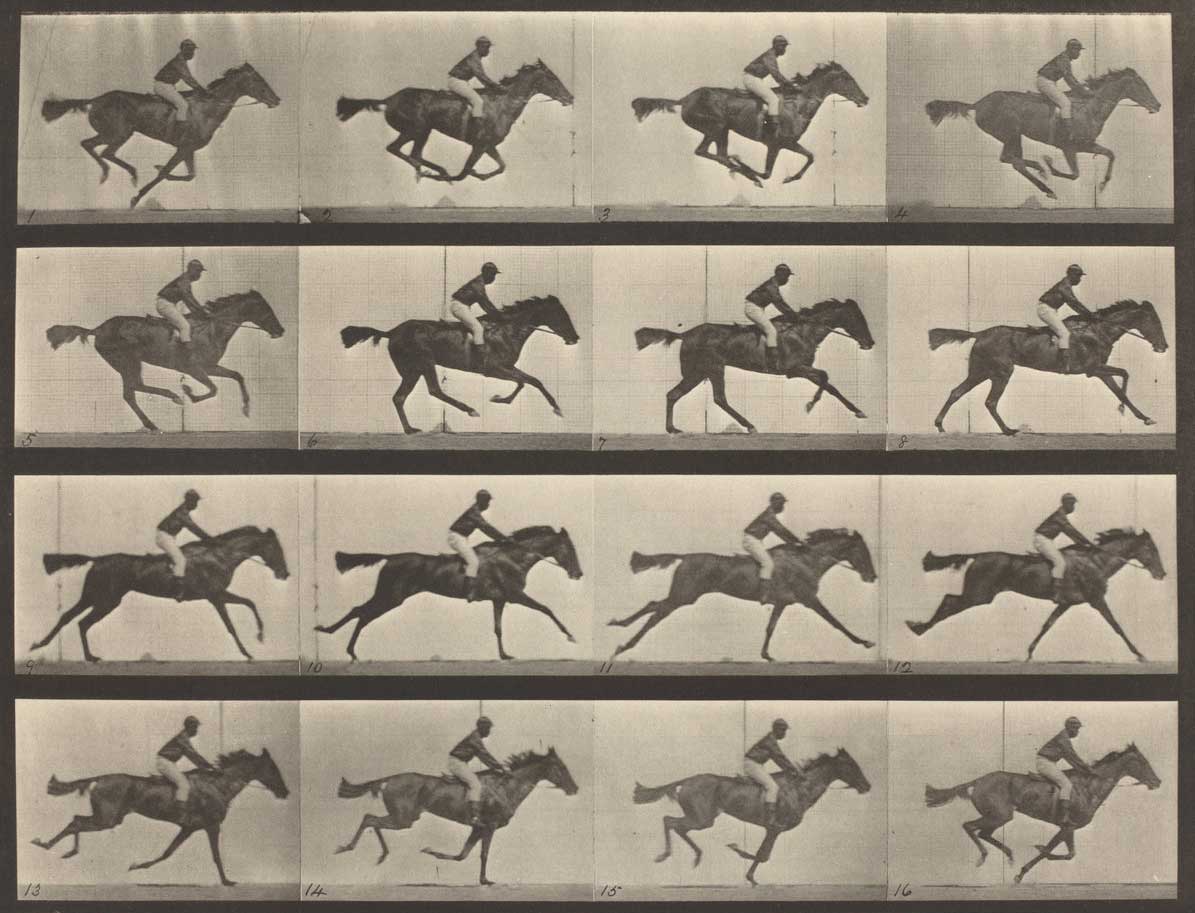 muybridge horse run