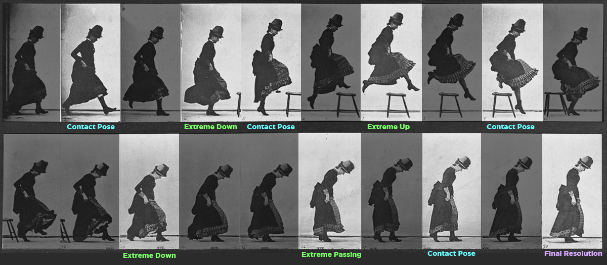Eadweard Muybridge Photo Breakdown