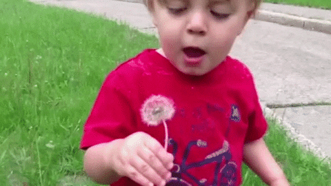 A hilariously disgusted child via Giphy